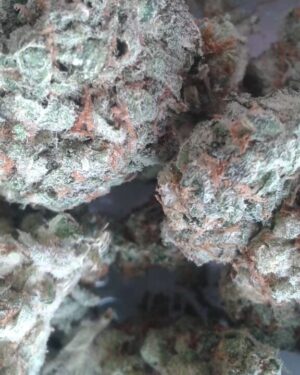 Magnum PI Cannabis Strain