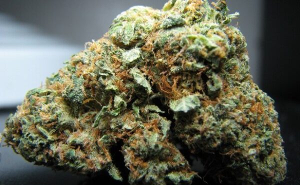 Cataract Kush Marijuana Strain