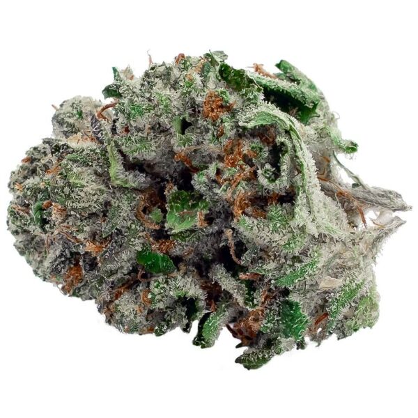 BC Kush Marijuana Strain