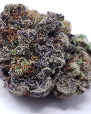 Blueberry Kush Cannabis Strain UK