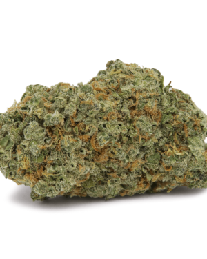 Lemon Kush Marijuana Strain