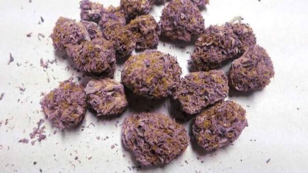 Purple Urkle Marijuana Strain UK
