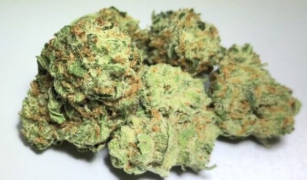 Black Jack Marijuana Strain UK