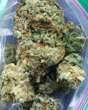 Strawberry Cough Cannabis Strain UK