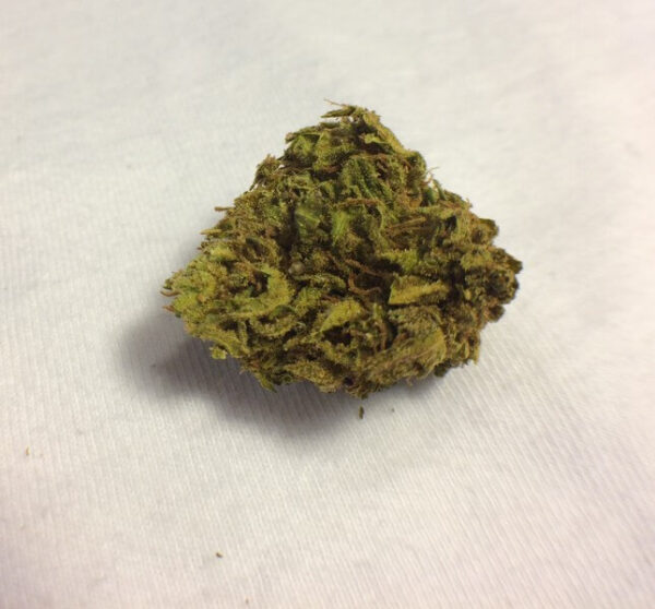 Confidential Cheese Marijuana Strain