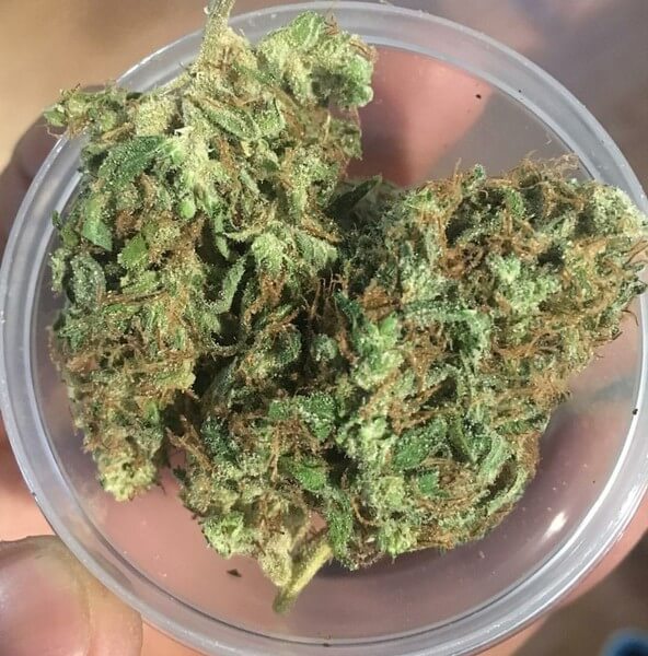 African Weed Strain