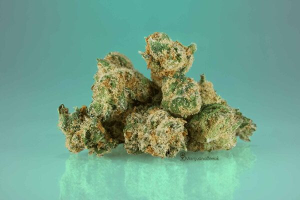 Central American Cannabis Strain