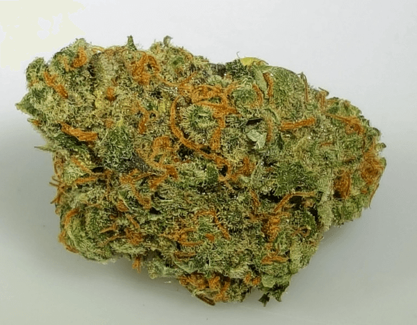 Chocolope Cannabis Strain UK